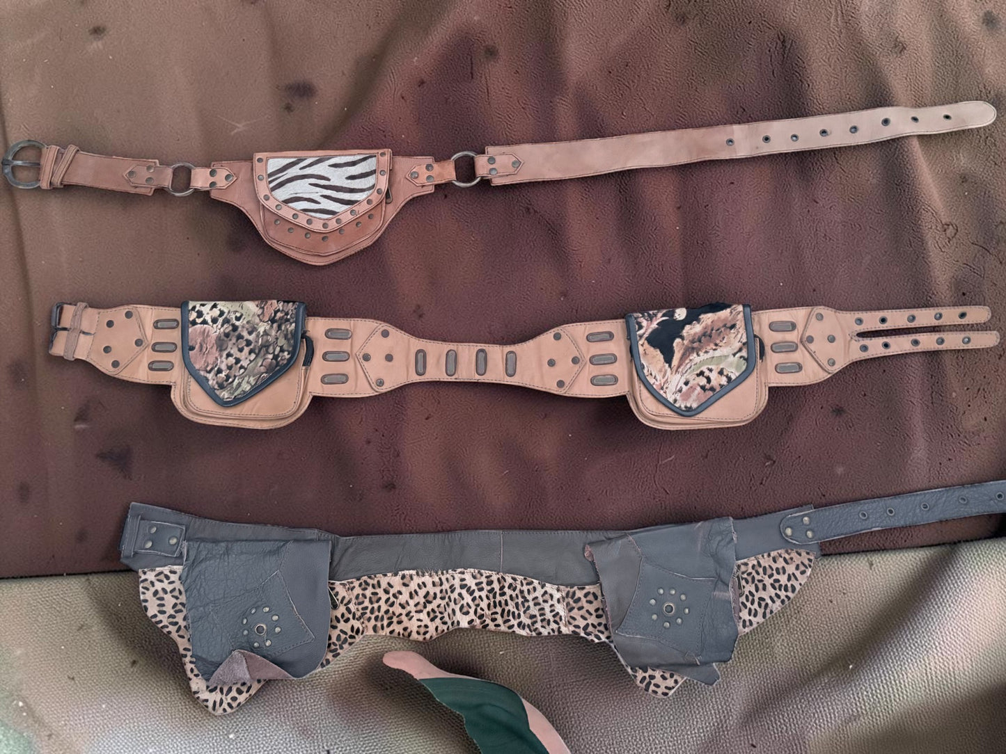 Zebra Heuptas
